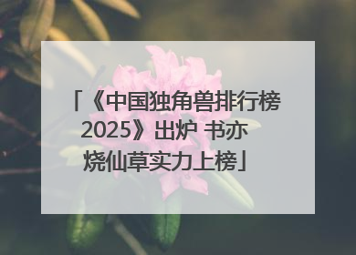 《中国独角兽排行榜2025》出炉 书亦烧仙草实力上榜