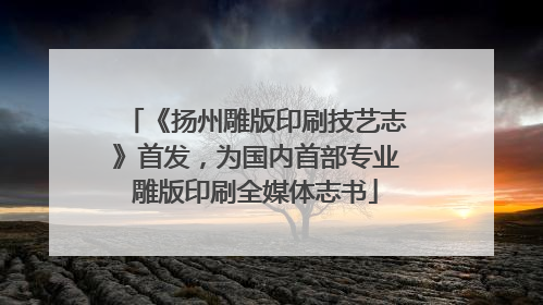 《扬州雕版印刷技艺志》首发，为国内首部专业雕版印刷全媒体志书
