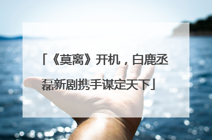 《莫离》开机，白鹿丞磊新剧携手谋定天下