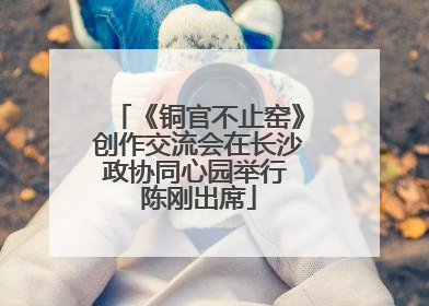 《铜官不止窑》创作交流会在长沙政协同心园举行 陈刚出席