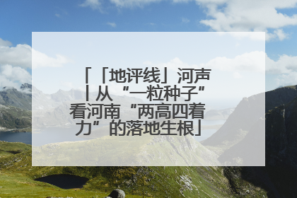 「地评线」河声丨从“一粒种子”看河南“两高四着力”的落地生根