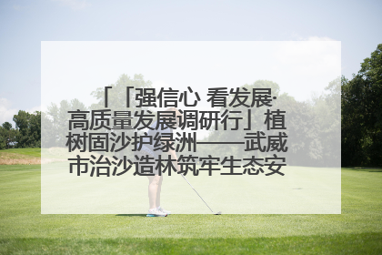 「强信心 看发展·高质量发展调研行」植树固沙护绿洲——武威市治沙造林筑牢生态安全屏障见闻