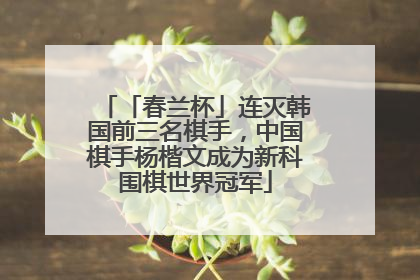 「春兰杯」连灭韩国前三名棋手，中国棋手杨楷文成为新科围棋世界冠军