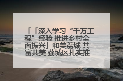 「深入学习“千万工程”经验 推进乡村全面振兴」和美荔城 共富共美 荔城区扎实推进乡村振兴工作