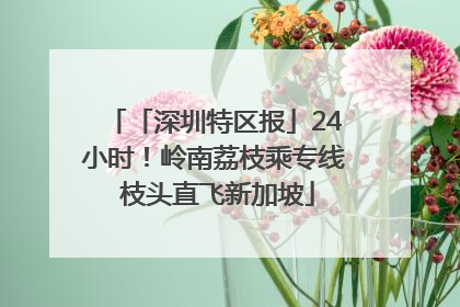 「深圳特区报」24小时！岭南荔枝乘专线 枝头直飞新加坡