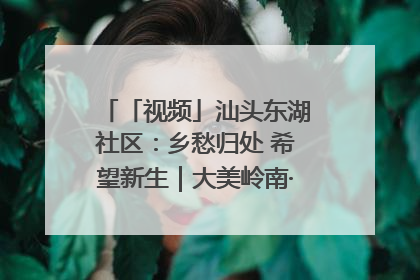 「视频」汕头东湖社区：乡愁归处 希望新生｜大美岭南·百村焕新记