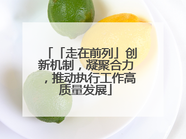 「走在前列」创新机制，凝聚合力，推动执行工作高质量发展