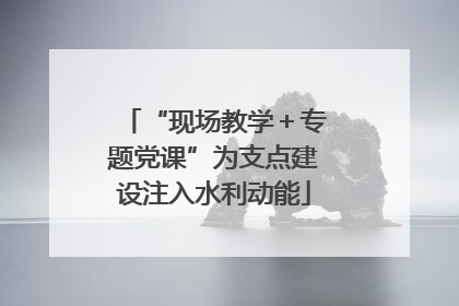 “现场教学＋专题党课”为支点建设注入水利动能
