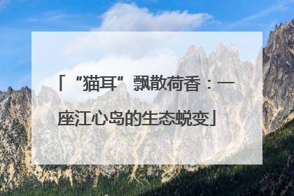 “猫耳”飘散荷香：一座江心岛的生态蜕变