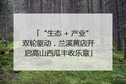 “生态 + 产业”双轮驱动，兰溪黄店开启高山西瓜丰收乐章