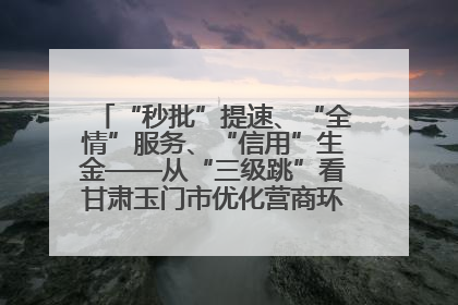 “秒批”提速、“全情”服务、“信用”生金——从“三级跳”看甘肃玉门市优化营商环境的进阶之路