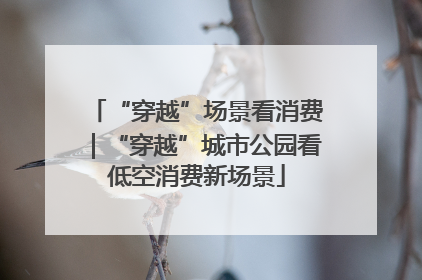 “穿越”场景看消费｜“穿越”城市公园看低空消费新场景