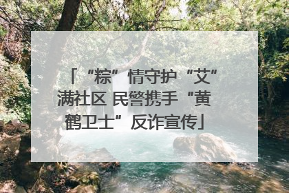 “粽”情守护“艾”满社区 民警携手“黄鹤卫士”反诈宣传