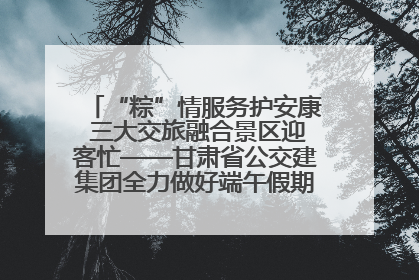 “粽”情服务护安康 三大交旅融合景区迎客忙——甘肃省公交建集团全力做好端午假期景区运营工作