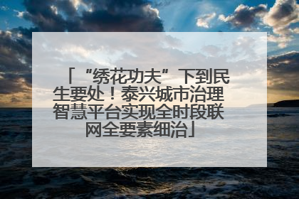 “绣花功夫”下到民生要处！泰兴城市治理智慧平台实现全时段联网全要素细治