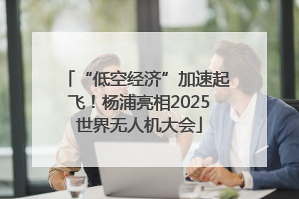 “低空经济”加速起飞！杨浦亮相2025世界无人机大会