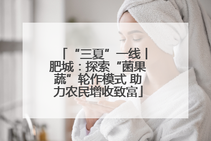 “三夏”一线丨肥城：探索“菌果蔬”轮作模式 助力农民增收致富