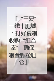 “三夏”一线丨肥城：打好夏粮收购“组合拳” 确保粮食颗粒归仓