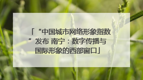 “中国城市网络形象指数”发布 南宁：数字传播与国际形象的西部窗口