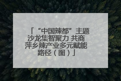 “中国辣都”主题沙龙集智聚力 共商萍乡辣产业多元赋能路径（图）