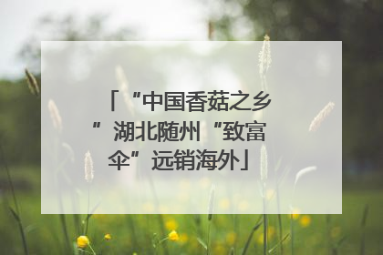 “中国香菇之乡”湖北随州“致富伞”远销海外
