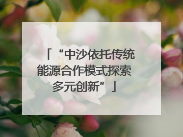 “中沙依托传统能源合作模式探索多元创新”