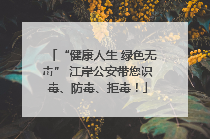 “健康人生 绿色无毒” 江岸公安带您识毒、防毒、拒毒！