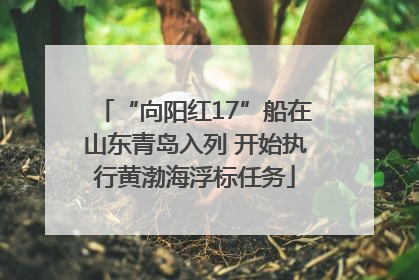 “向阳红17”船在山东青岛入列 开始执行黄渤海浮标任务