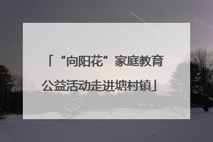 “向阳花”家庭教育公益活动走进塘村镇