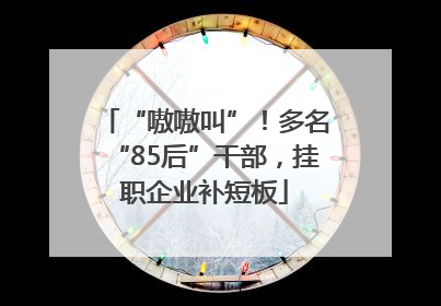 “嗷嗷叫”！多名“85后”干部，挂职企业补短板