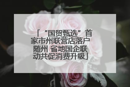 “国贸甄选”首家市州联营店落户随州 省地国企联动共促消费升级