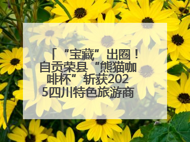 “宝藏”出圈！自贡荣县“熊猫咖啡杯”斩获2025四川特色旅游商品大赛铜奖