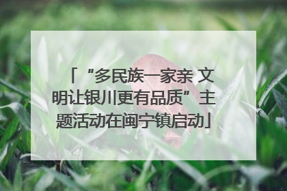 “多民族一家亲 文明让银川更有品质”主题活动在闽宁镇启动