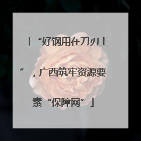 “好钢用在刀刃上”，广西筑牢资源要素“保障网”