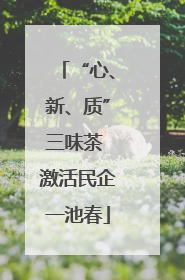 “心、新、质”三味茶 激活民企一池春