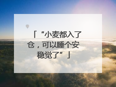 “小麦都入了仓，可以睡个安稳觉了”