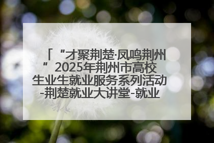 “才聚荆楚·凤鸣荆州”2025年荆州市高校生业生就业服务系列活动-荆楚就业大讲堂-就业嘉年华活动举行