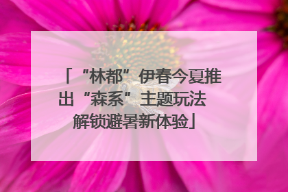 “林都”伊春今夏推出“森系”主题玩法 解锁避暑新体验