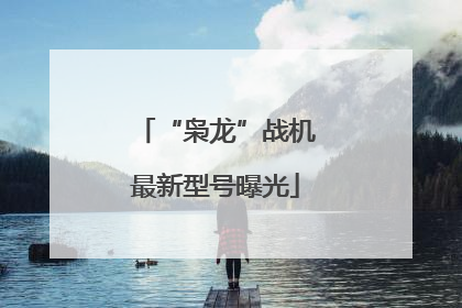 “枭龙”战机最新型号曝光