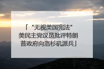 “无视美国宪法” 美民主党议员批评特朗普政府向洛杉矶派兵