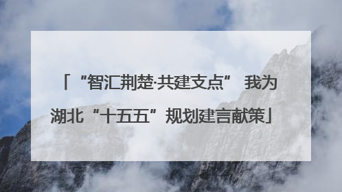 “智汇荆楚·共建支点” 我为湖北“十五五”规划建言献策