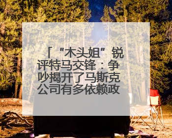 “木头姐”锐评特马交锋：争吵揭开了马斯克公司有多依赖政府合同