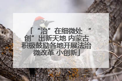 “治”在细微处 “创”出新天地 内蒙古积极鼓励各地开展法治微改革 小创新