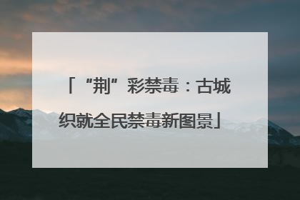 “荆”彩禁毒：古城织就全民禁毒新图景