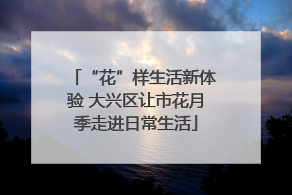 “花”样生活新体验 大兴区让市花月季走进日常生活
