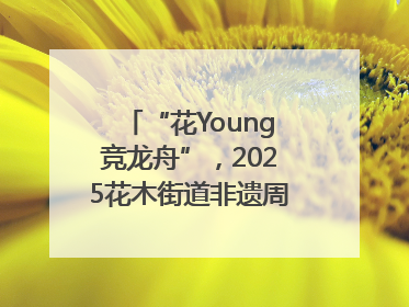 “花Young竞龙舟”，2025花木街道非遗周系列活动举行