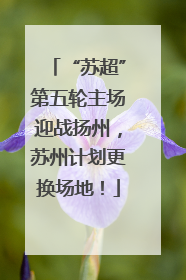 “苏超”第五轮主场迎战扬州，苏州计划更换场地！