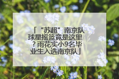 “苏超”南京队球星摇篮竟是这里？雨花实小9名毕业生入选南京队