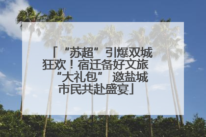 “苏超”引爆双城狂欢！宿迁备好文旅“大礼包” 邀盐城市民共赴盛宴