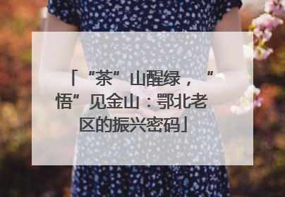 “茶”山醒绿，“悟”见金山：鄂北老区的振兴密码